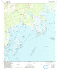 preview thumbnail of historical topo map of Wakulla County, FL in 1972