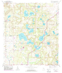 Download a high-resolution, GPS-compatible USGS topo map for Spring Lake, FL (1988 edition)