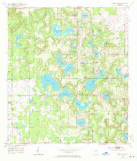 Download a high-resolution, GPS-compatible USGS topo map for Spring Lake, FL (1971 edition)