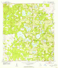 Download a high-resolution, GPS-compatible USGS topo map for Spring Lake, FL (1955 edition)