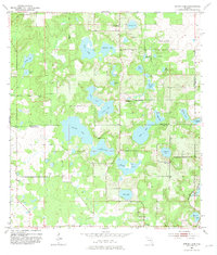 Download a high-resolution, GPS-compatible USGS topo map for Spring Lake, FL (1981 edition)