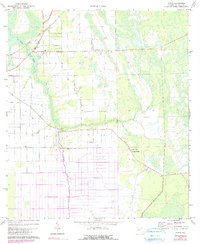 Download a high-resolution, GPS-compatible USGS topo map for Spuds, FL (1990 edition)