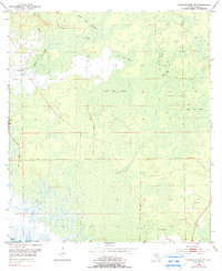 Download a high-resolution, GPS-compatible USGS topo map for Steinhatchee SE, FL (1990 edition)