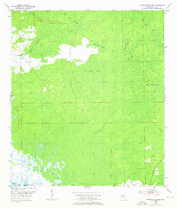 Download a high-resolution, GPS-compatible USGS topo map for Steinhatchee SE, FL (1976 edition)