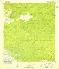 Download a high-resolution, GPS-compatible USGS topo map for Steinhatchee SE, FL (1955 edition)