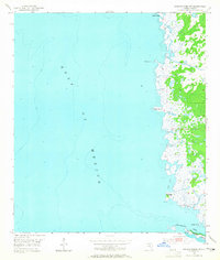 Download a high-resolution, GPS-compatible USGS topo map for Steinhatchee SW, FL (1965 edition)