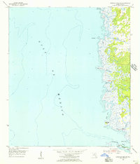 Download a high-resolution, GPS-compatible USGS topo map for Steinhatchee SW, FL (1955 edition)