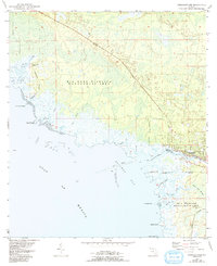 Download a high-resolution, GPS-compatible USGS topo map for Steinhatchee, FL (1993 edition)