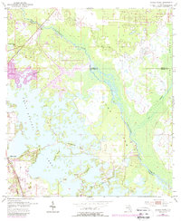 preview thumbnail of historical topo map of Citrus County, FL in 1954