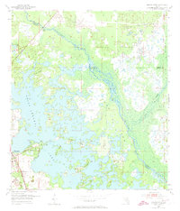 Download a high-resolution, GPS-compatible USGS topo map for Stokes Ferry, FL (1973 edition)