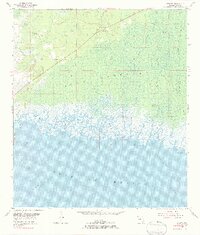 preview thumbnail of historical topo map of Levy County, FL in 1955