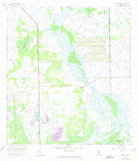 Download a high-resolution, GPS-compatible USGS topo map for Sunniland, FL (1973 edition)