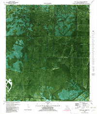 Download a high-resolution, GPS-compatible USGS topo map for Tates Hell Swamp, FL (1982 edition)