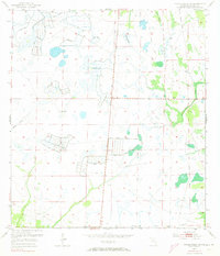 Download a high-resolution, GPS-compatible USGS topo map for Taylor Creek NE, FL (1973 edition)