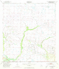 Download a high-resolution, GPS-compatible USGS topo map for Taylor Creek NW, FL (1973 edition)
