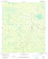 Download a high-resolution, GPS-compatible USGS topo map for Taylor, FL (1990 edition)