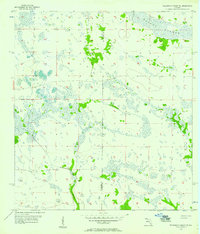 Download a high-resolution, GPS-compatible USGS topo map for Telegraph Swamp NE, FL (1957 edition)
