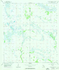 Download a high-resolution, GPS-compatible USGS topo map for Telegraph Swamp NE, FL (1974 edition)