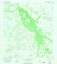 Download a high-resolution, GPS-compatible USGS topo map for Telegraph Swamp, FL (1974 edition)