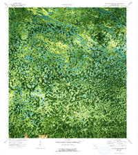 Download a high-resolution, GPS-compatible USGS topo map for Thompson Pine Island, FL (1993 edition)