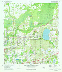 Download a high-resolution, GPS-compatible USGS topo map for Thonotosassa, FL (1977 edition)