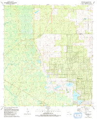 Download a high-resolution, GPS-compatible USGS topo map for Tidewater, FL (1991 edition)