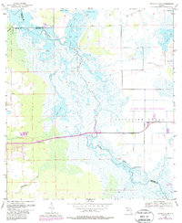 Download a high-resolution, GPS-compatible USGS topo map for Titusville SW, FL (1987 edition)