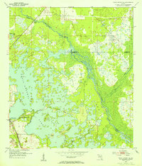 Download a high-resolution, GPS-compatible USGS topo map for Tsala Apopka NE, FL (1955 edition)