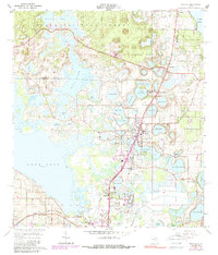 Download a high-resolution, GPS-compatible USGS topo map for Umatilla, FL (1989 edition)