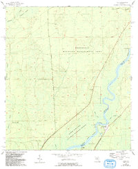 preview thumbnail of historical topo map of Dixie County, FL in 1954