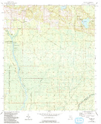 Download a high-resolution, GPS-compatible USGS topo map for Wacissa, FL (1993 edition)