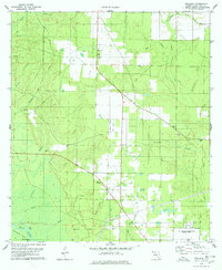 Download a high-resolution, GPS-compatible USGS topo map for Wallace, FL (1978 edition)