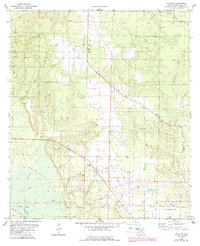 Download a high-resolution, GPS-compatible USGS topo map for Wallace, FL (1987 edition)