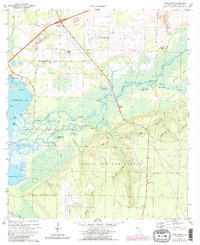 Download a high-resolution, GPS-compatible USGS topo map for Ward Basin, FL (1987 edition)