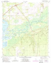 Download a high-resolution, GPS-compatible USGS topo map for Ward Basin, FL (1987 edition)