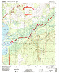 Download a high-resolution, GPS-compatible USGS topo map for Ward Basin, FL (1999 edition)