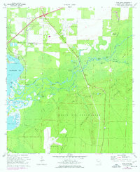 Download a high-resolution, GPS-compatible USGS topo map for Ward Basin, FL (1977 edition)