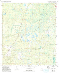 Download a high-resolution, GPS-compatible USGS topo map for Warrior Swamp, FL (1993 edition)