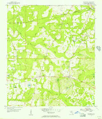 Download a high-resolution, GPS-compatible USGS topo map for Waukeenah, FL (1956 edition)