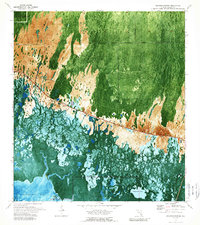 Download a high-resolution, GPS-compatible USGS topo map for Weavers Station, FL (1989 edition)