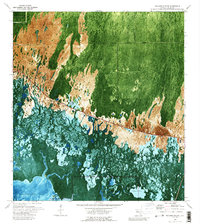Download a high-resolution, GPS-compatible USGS topo map for Weavers Station, FL (1989 edition)