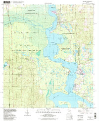 Download a high-resolution, GPS-compatible USGS topo map for Welaka, FL (1998 edition)