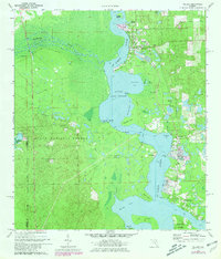 Download a high-resolution, GPS-compatible USGS topo map for Welaka, FL (1981 edition)