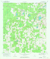 Download a high-resolution, GPS-compatible USGS topo map for Wellborn, FL (1971 edition)