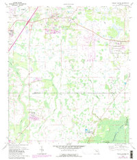 Download a high-resolution, GPS-compatible USGS topo map for Wesley Chapel, FL (1987 edition)