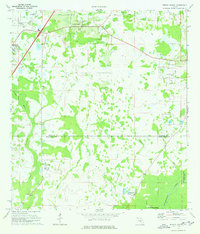 Download a high-resolution, GPS-compatible USGS topo map for Wesley Chapel, FL (1976 edition)