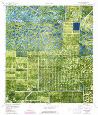 Download a high-resolution, GPS-compatible USGS topo map for West Of Delta, FL (1993 edition)