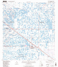 Download a high-resolution, GPS-compatible USGS topo map for West Of Rood, FL (1998 edition)