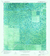Download a high-resolution, GPS-compatible USGS topo map for West Palm Beach 2 SE, FL (1976 edition)