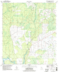 preview thumbnail of historical topo map of Gulf County, FL in 1994